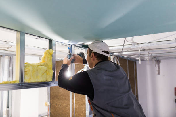 Best Specialized Insulation Services in Waller, TX