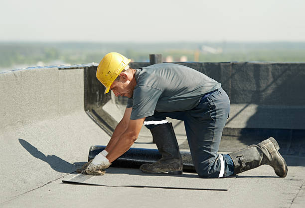 Best Eco-Friendly Insulation in Waller, TX